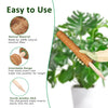 A natural coconut fiber plant support stick is shown next to a green houseplant.