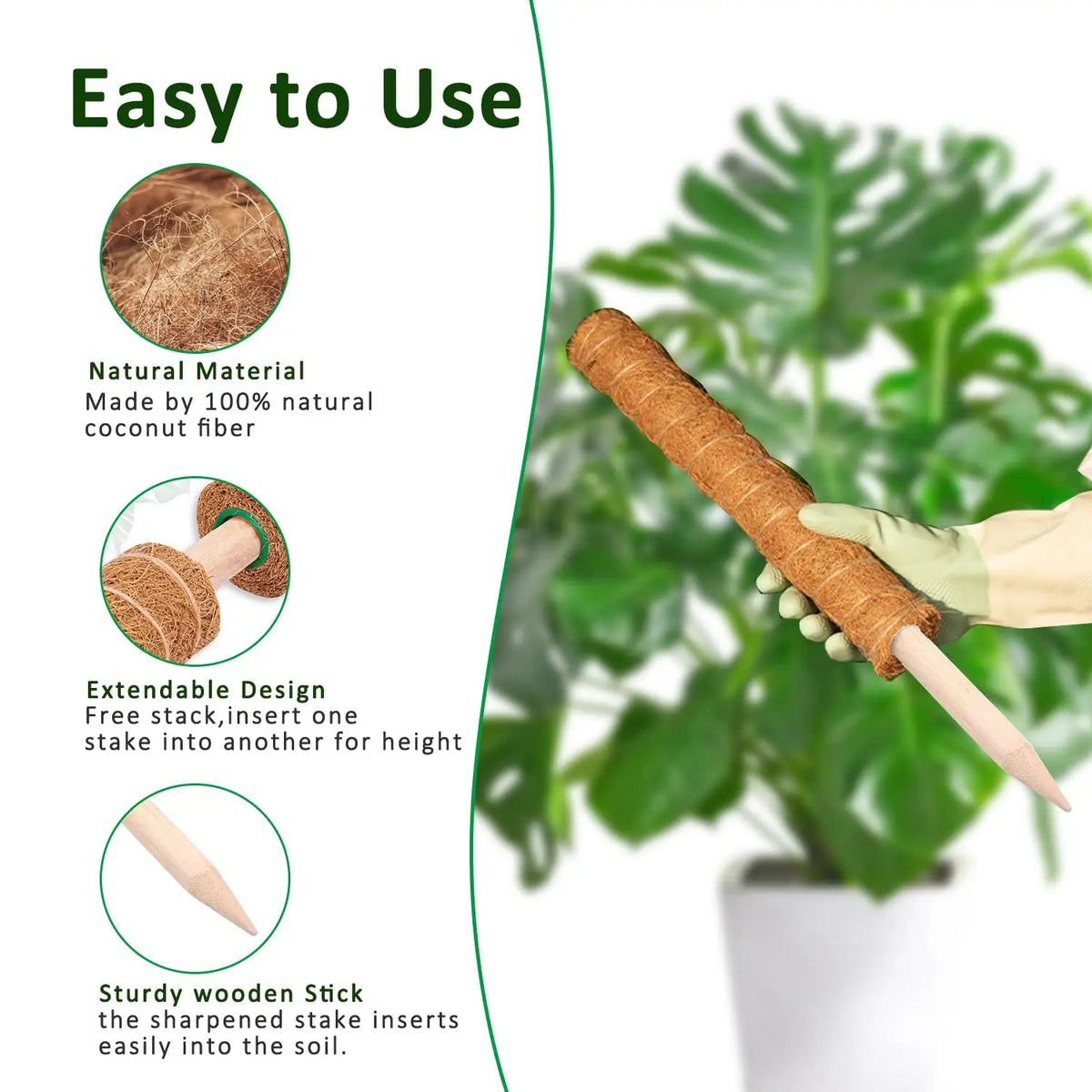 A natural coconut fiber plant support stick is shown next to a green houseplant.