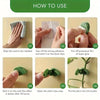 Instructions showing how to use plant wall climbing clips to attach plants to a wall.