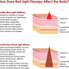 Diagram showing how visible red light and invisible near infrared light affect different layers of the body.