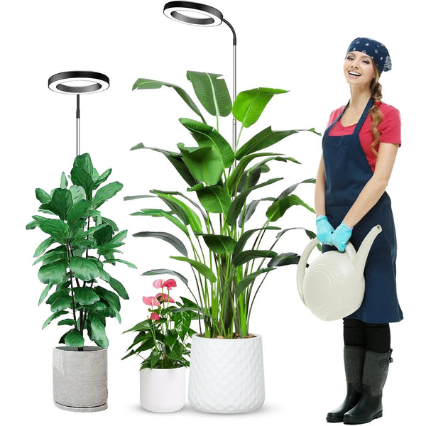 A woman holds a potted indoor plant under a full spectrum LED grow light for indoor plants.