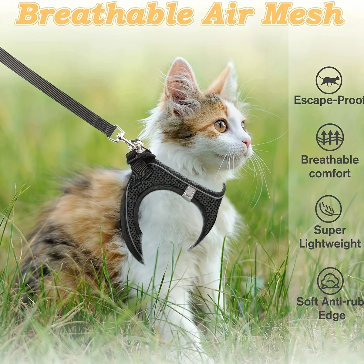 A domestic cat wearing a black breathable air mesh harness outdoors in green grass.