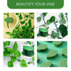 Green plant wall climbing clips used to decorate and beautify vines and plants