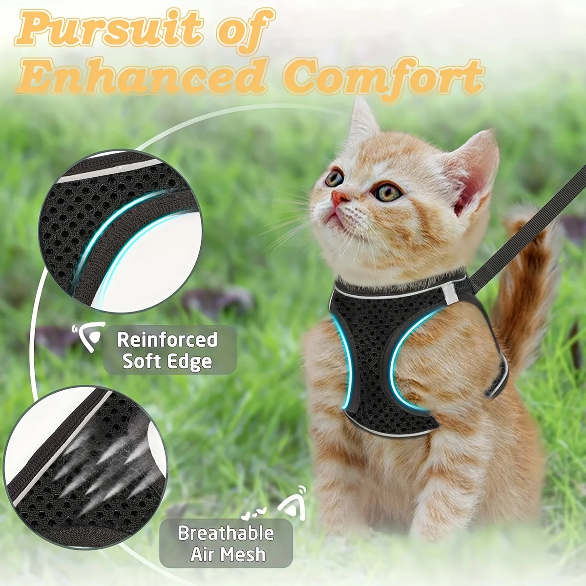 An orange kitten wearing a black harness and leash set for cats, highlighting reinforced soft edges and breathable air mesh f