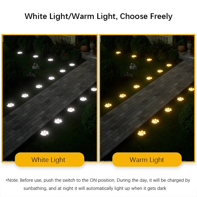 Two options for solar pathway lights: White Light and Warm Light, shown illuminating a paved walkway at night.