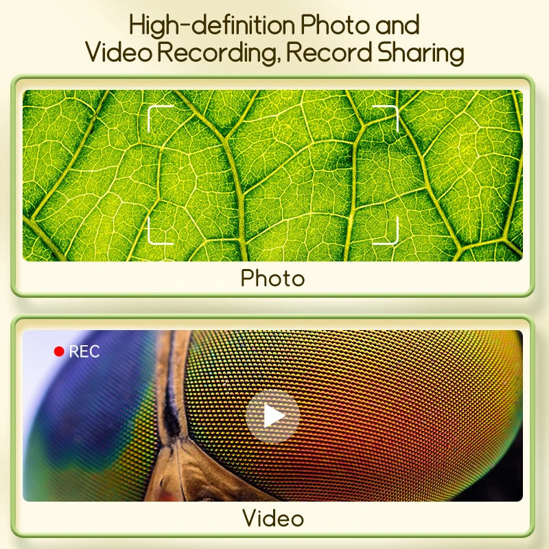 A photo and video recording feature of a pocket digital microscope for kids showing a leaf and a magnified insect