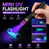 A hand holds a mini UV flashlight emitting purple light onto a green scorpion.