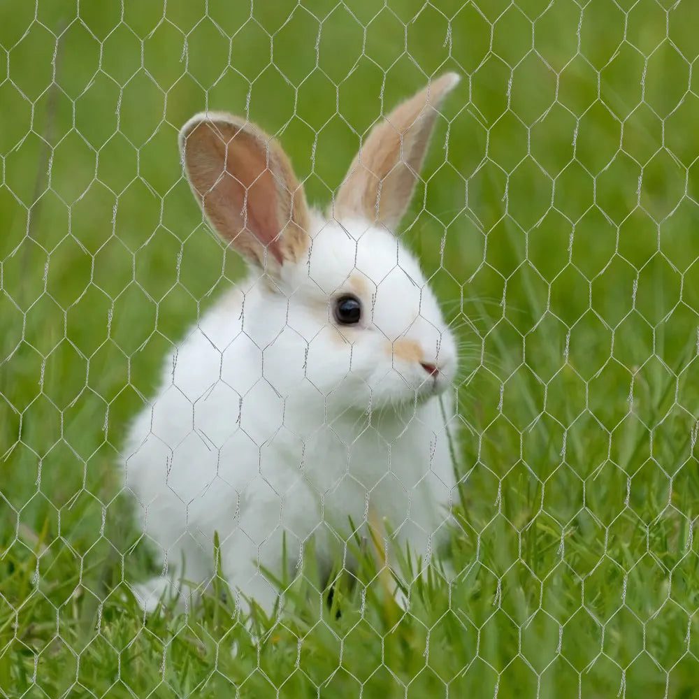 A small white rabbit peeking through a galvanized metal wire netting in green grass.