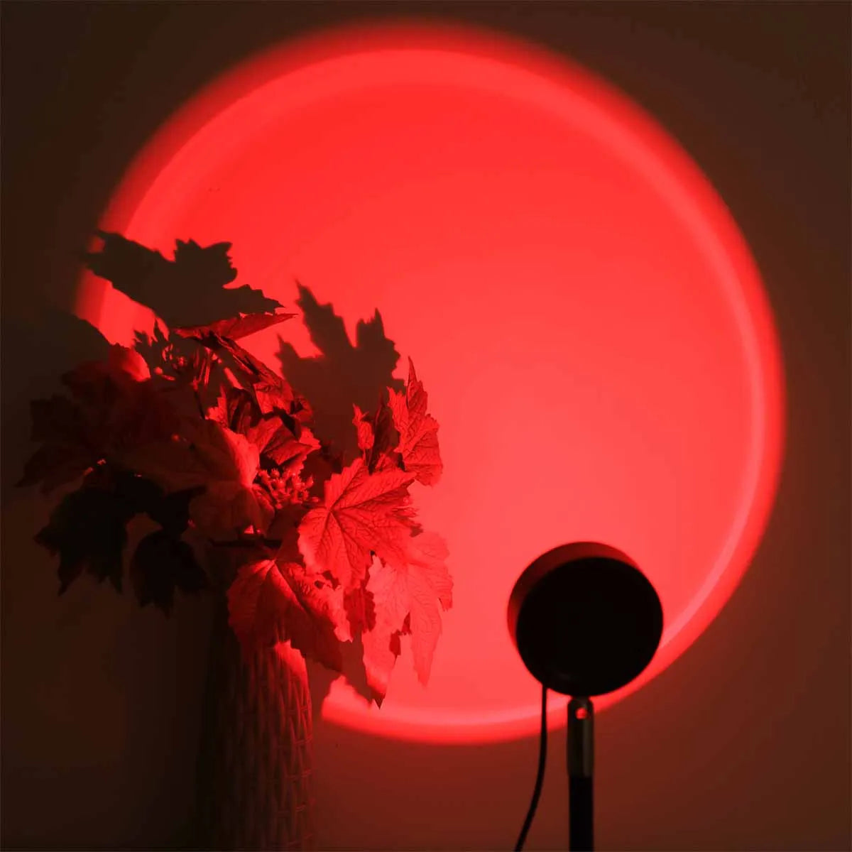 A plant is illuminated by a red sunset projection light, casting shadows against a dark background.