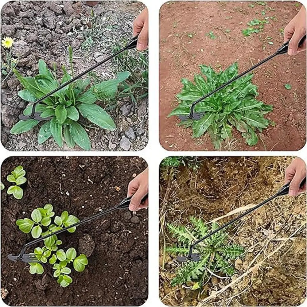 Three images showing a multifunctional hand weeder tool being used to remove weeds from soil.
