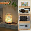 A potted fabric shade lamp with a wire controlled switch and metal base on a desk.