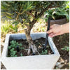 A hand is holding a black plant aeration tube inserted into the soil of a potted tree.
