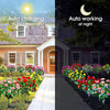 Solar LED azalea flowers in various colors lining a garden path for outdoor decor
