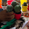 A brown leather gardening pruning glove is shown holding a green cactus plant in a red pot.