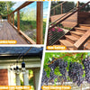 Colección de guías de iluminación exterior y estructuras de trepadoras para plantas, decoraciones de jardín.