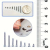 A collection of various self-tapping wood screws and related hardware, measured against a ruler.