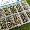 A clear plastic box filled with various sizes of silver metal self-tapping wood screws organized in compartments.