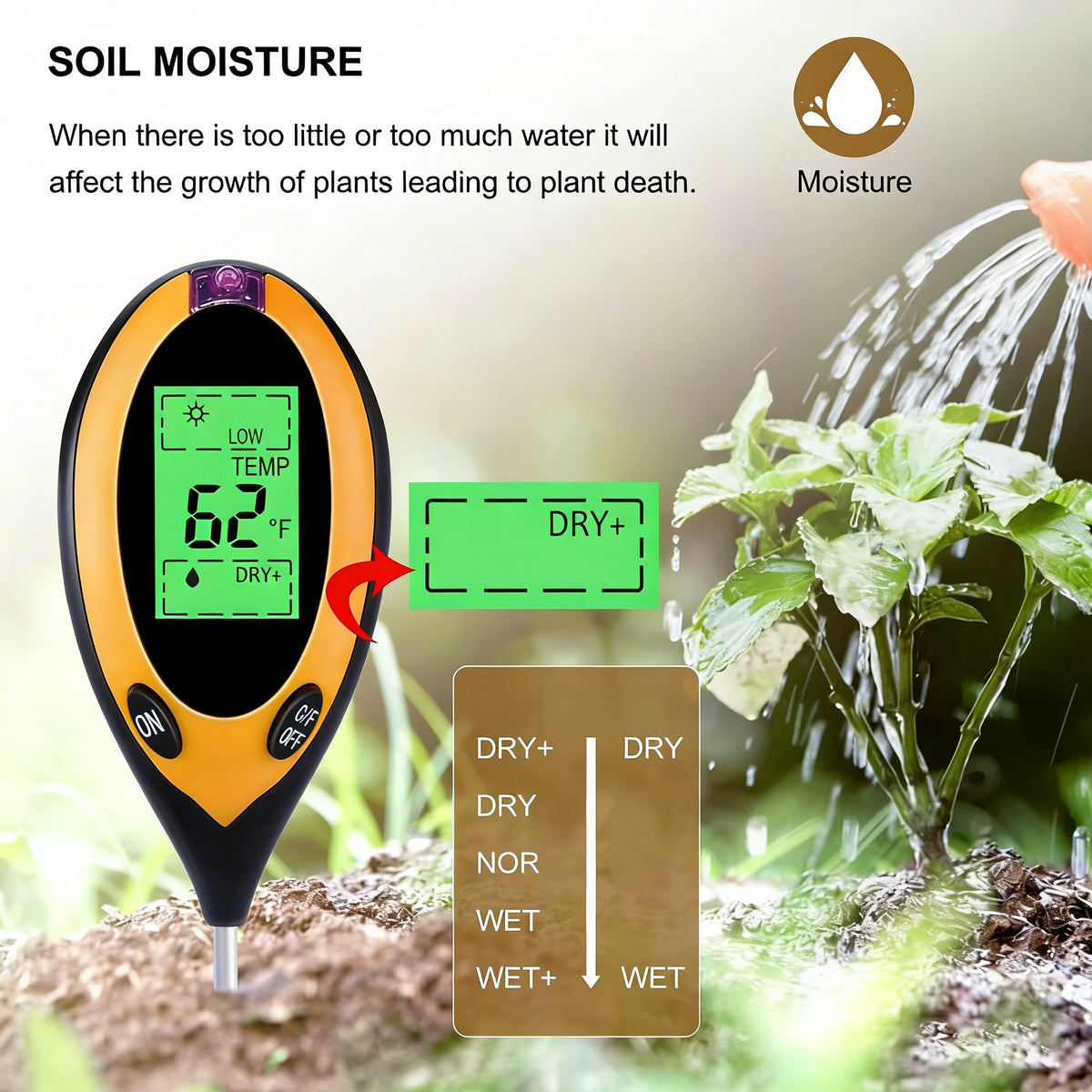 A yellow soil moisture meter with a digital display showing 62°F and a battery indicator, next to a plant being watered.
