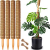Stackable natural plant support poles with large green leaves in a black pot