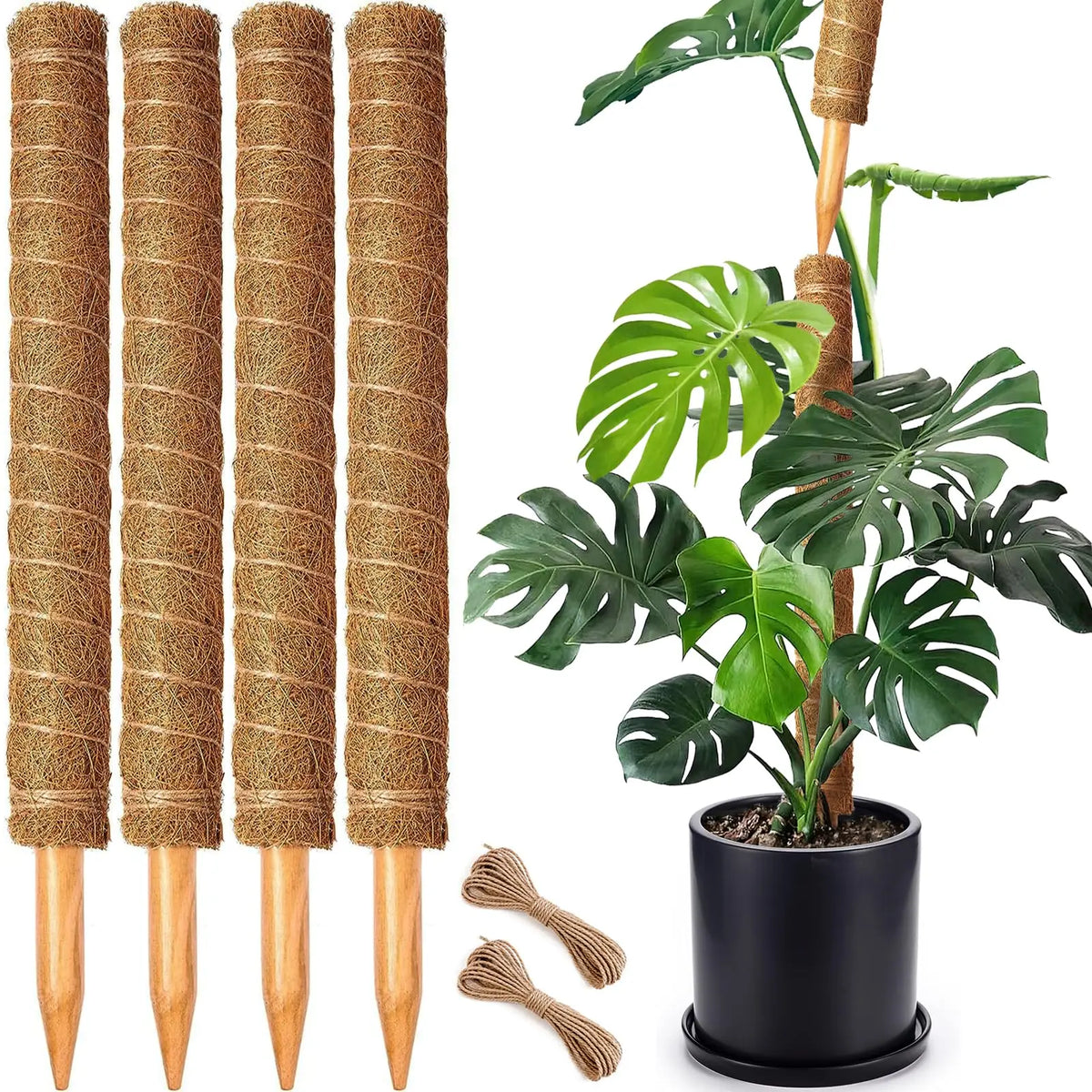 Stackable natural plant support poles with large green leaves in a black pot