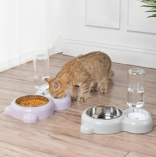 Eine tabby Katze isst aus einem weißen automatischen Wasserdispenser-Set mit einer Trockenfutterschale.