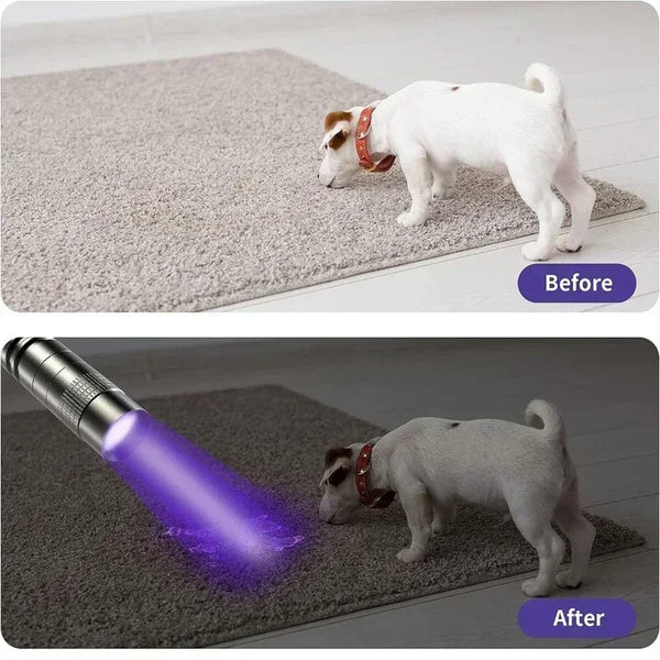 Before and after comparison showing a dog's fur, with the 'After' image demonstrating UV light inspection on the fur.