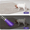 Before and after comparison showing a dog's fur, with the 'After' image demonstrating UV light inspection on the fur.