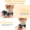 A close-up of a black harness being fitted onto a cat, demonstrating an adjustable hook and loop closure.