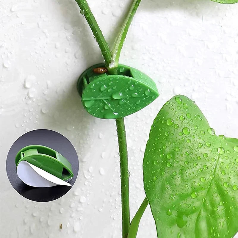 Pinzas de hoja verdes autoadhesivas que sostienen un tallo y una hoja de planta.