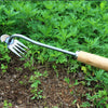 A stainless steel hand tool with a fork end and wooden handle used for deep root weed removal.