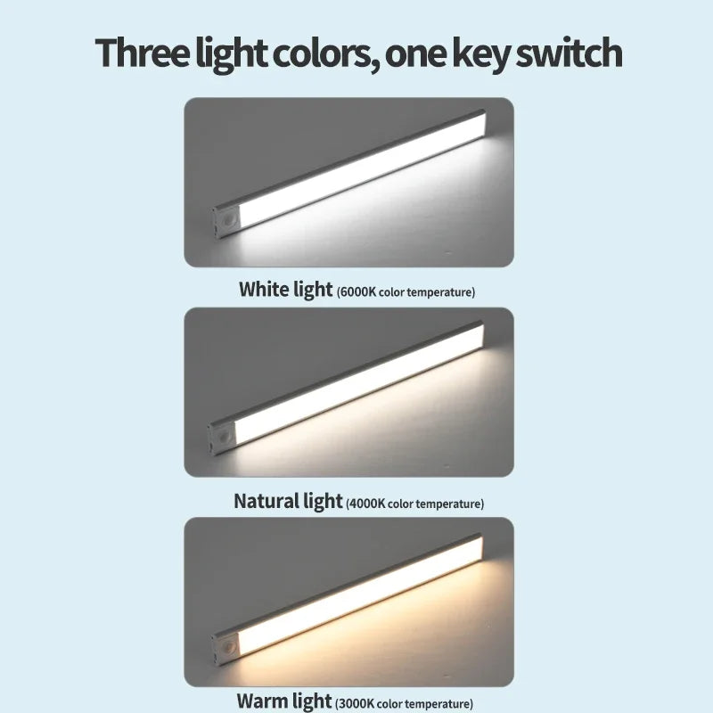 Three light colors white natural and warm light shown as a linear LED fixture.